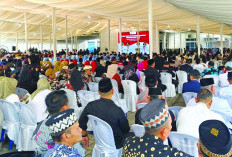 Nanda Ajak Semua Elemen Bersatu Bangun Pesawaran