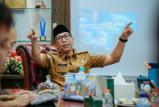 Program Pemutihan Pajak Diperpanjang?