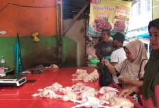 Malam Tahun Baru, Pedagang Ayam Bandar Lampung Diserbu Warga