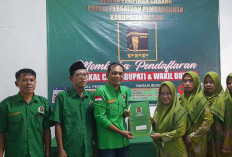 PPP Mesuji Lampung Membuka Penjaringan, Elfianah Istri Mantan Bupati Mendaftar sebagai Bacabup 