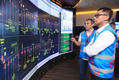 PLN Masuk Fortune Global 500
