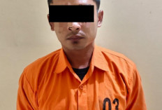  Oknum Honorer Pringsewu Tipu Korban Puluhan Juta Modus Jual Beli Mobil