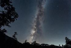 Tanpa Polusi Cahaya, Nyepi di Bali Jadi Momen untuk Melihat Milky Way 
