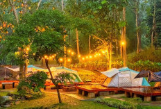  Isi Libur Nataru dengan Glamping di Pinggir Sungai Wira Garden 