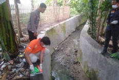 Lansia di Pringsewu Ditemukan Meninggal di Saluran Irigasi Setelah Dicari Semalaman