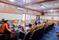Pemkab, DPRD, dan FKHN Lampura Perjuangkan PPPK Paruh Waktu yang Belum Terakomodir