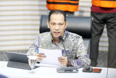 Wakil Ketua KPK Nurul Ghufron Diminta Mundur dari Jabatan, Kenapa Ya? 