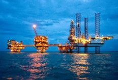 Harga Minyak Dunia Turun Tajam 