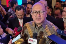  Danantara Akan Pangkas BUMN Jadi 340 Perusahaan