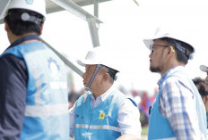 Dukung Smart Farming, PLN dan Pemda Bersinergi Dorong Ketahanan Pangan Berbasis Energi