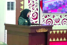Pemkot Bandar Lampung Laporkan Kinerja Keuangan APBD 2024, Raih Opini WTP dari BPK