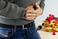 7 Penyebab dan Gejala Keracunan Makanan yang Perlu Diwaspadai
