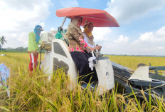 Ikaperta Unila Ajari Petani Olah Tanah Guna Tingkatan Hasil Pertanian 