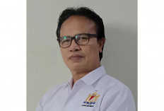 Ada Potensi Luar Biasa di Hutan Indonesia