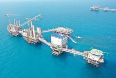  Harga Minyak Sepekan, Awal Turun 1 Persen dan Tiba-Tiba Melonjak 3 Persen