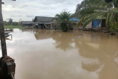 10 Rumah Terendam Banjir di Dusun Talang Gunung