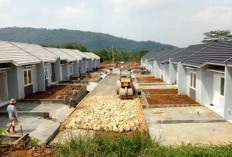  PMI Disiapkan 20.000 Rumah Subsidi 