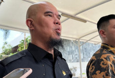 Ahmad Dhani Dituding Hina Marga, Dilaporkan Rayen Pono ke MKD DPR