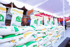  Bantuan Pangan Beras 20 Kg Dimulai Akhir Juni 