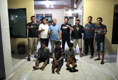 Panen Sawit Perusahaan,  Tiga Pencuri Diringkus Polisi