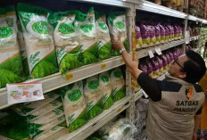  Beras Premium Akan Kembali Tersedia di Ritel Modern