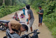 Banjir Merendam Lahan Pertanian dan Putuskan Akses Jalan di Way Kanan