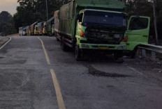 Selain Malam, Truk Batubara Juga Konvoi Siang Hari