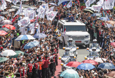 Ini Spesifikasi dan Keunggulan MV3 Garuda Limousine