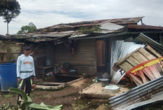 Hujan Es di Lampung Barat Rusak Puluhan Rumah Warga