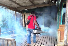 Tiga Bulan 101 Kasus DBD di Mesuji 