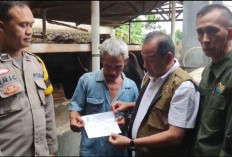 Dinas Pertanian Bandar Lampung Periksa Kesehatan Hewan Kurban di Sejumlah Lapak