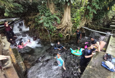 Way Bekhak Pemandian Langsung di Mata Air Gunung Tanggamus 