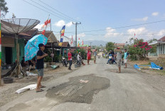 Pemuda Pekon Pampangan Swadaya Timbun Jalan Rusak, Upaya Cegah Kecelakaan