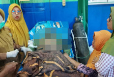  Perahu Dihantam Ombak Satu Nelayan Tewas Tenggelam 