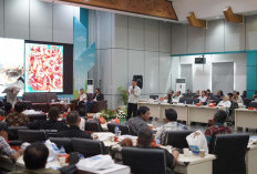 Sinergi PLN dan Pemerintah Daerah Dorong Produktivitas Tambak Udang Berkelanjutan