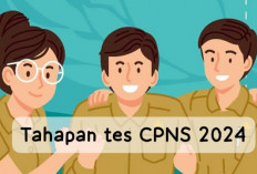 PPPK Boleh Ikut Seleksi CPNS 2024: Begini Caranya