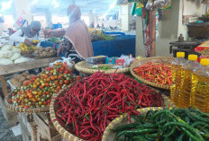 Harga Bahan Baku Minyak Goreng di Dunia Meningkat, Harga Minyak Goreng di Pasaran Capai Rp 20.000 per Liter