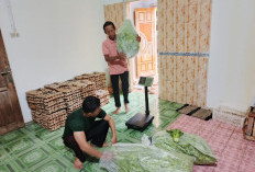 Pedagang Sayur di Mesuji Panen Rezeki Diborong MBG 