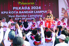 Jadikan Kera Jantan Maskot Pilkada 2024