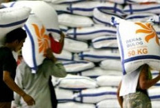  Stok Beras Impor Tahun Lalu Tetap Layak