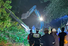 Gerak Cepat, PLN Perbaiki Jaringan Listrik terdampak Longsor, Pasca Cuaca Ekstrim di Pesawaran Lampung