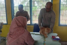 Sebanyak 126 hewan Penular Rabies di Mesuji Telah Divaksin, Berikut Rinciannya 