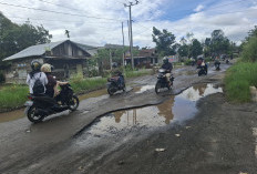 Tahun Ini Jalan Liwa-Sukau Diperbaiki 