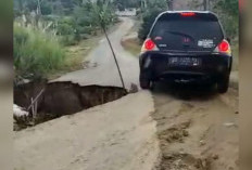 Segera Perbaiki! Kondisi Jalan Kabupaten di Sekincau Terancam Putus Total