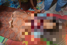 Pergoki Maling di Dalam Rumah, IRT di Waykanan Tewas Dibunuh 
