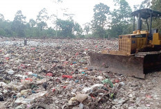 Pesawaran Indah Tanpa Sampah, Optimistis Raih Adipura 2026