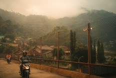 LEBIH SEJUK 