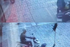 Motor Petugas Parkir di Bandar Lampung Raib dalam Hitungan Detik, Aksi Terekam CCTV