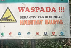 Waspada Buaya, BKSDA Pasang Banner Imbauan