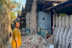 Gempa Banyuwangi Rusak Belasan Rumah di Situbondo 